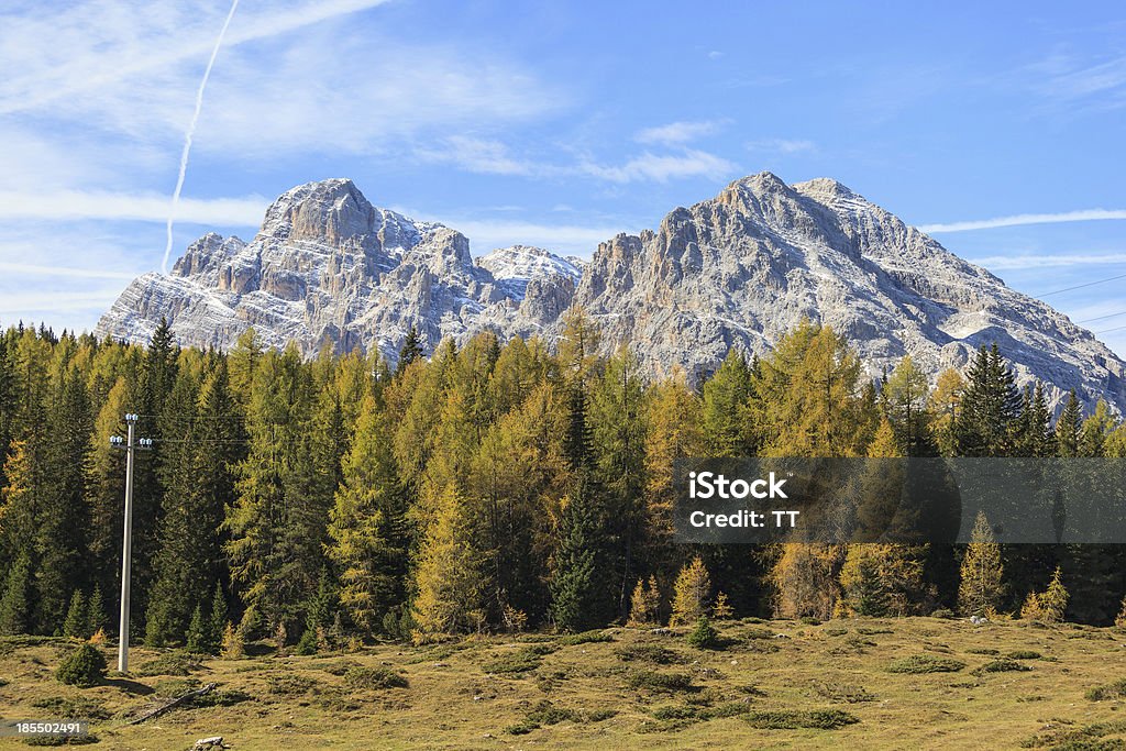 Alp 山の眺め - なだらかな起伏のある地形のロイヤリティフリーストックフォト
