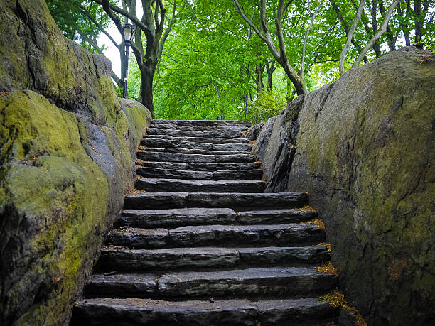 istock Stone stairway, Central Park, New York City 185502685