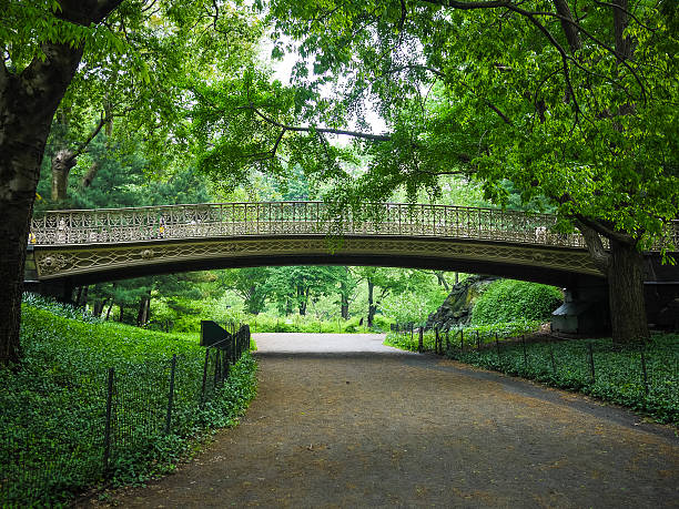 Wrought iron bridge in Central Park, New York City