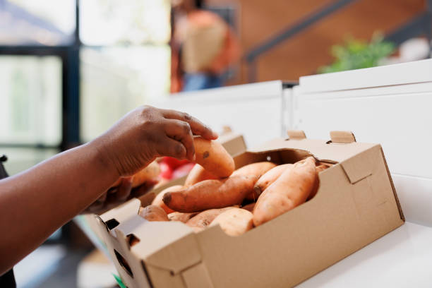 istock Vendor stocks shelf with organic potatoes 1855030978
