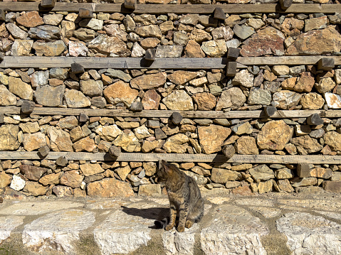 Akseki Buttoned Houses, which are among the rich cultural assets of our country, are among the buildings that should be preserved and transferred to future generations with their unique construction technique and architectural features.