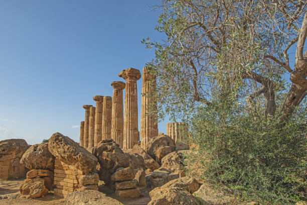 famose otto colonne del tempio di eracle o ercole, noto come tempio di eracle in italiano. - temple of heracles foto e immagini stock