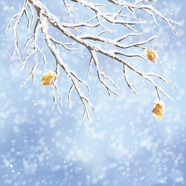 冬のベクトル雪で覆われた枝背景フロスト - snow leaf branch winter点のイラスト素材／クリップアート素材／マンガ素材／アイコン素材