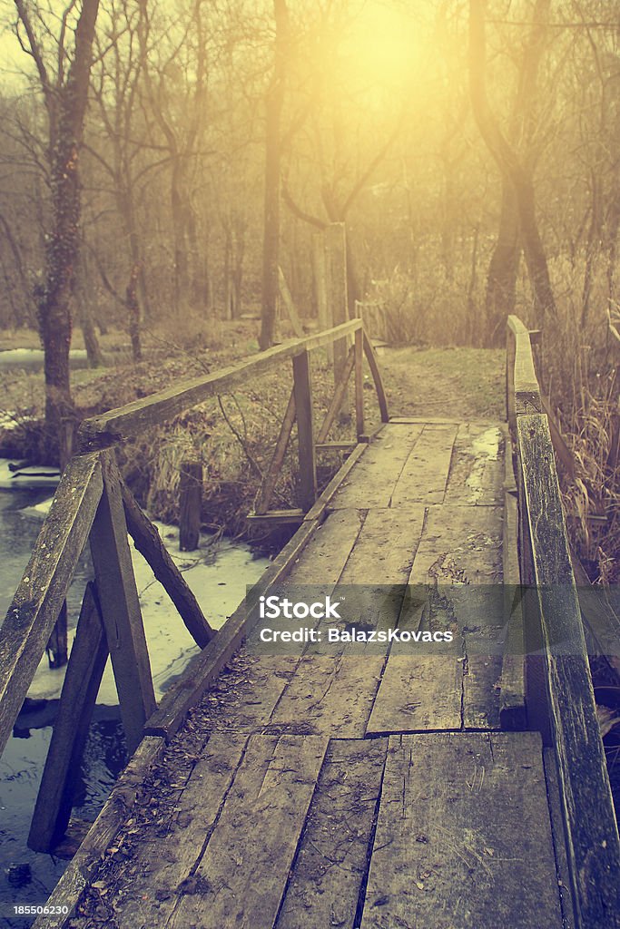 Vintage foto da ponte na floresta - Foto de stock de Ajardinado royalty-free
