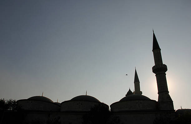 alte moschee - sultan selim ii stock-fotos und bilder