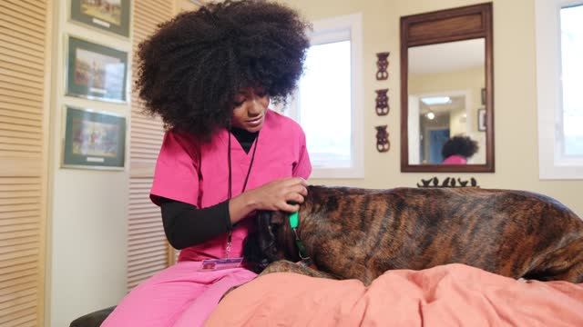 African female registered nurse petting her dog in the morning
