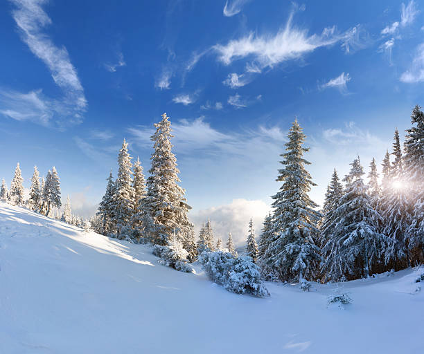 istock Beautiful winter landscape with snow covered trees 185509424