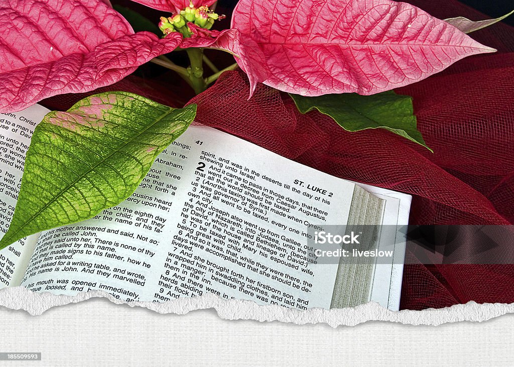 Weihnachtsstern-Blumen auf Heiligen Bibel - Lizenzfrei Bibel Stock-Foto