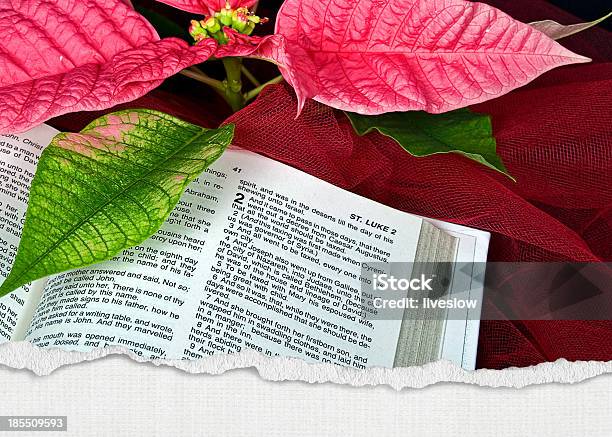 Weihnachtssternblumen Auf Heiligen Bibel Stockfoto und mehr Bilder von Bibel - Bibel, Einzelne Blume, Extreme Nahaufnahme