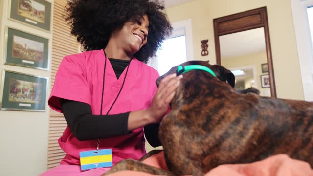 African female registered nurse petting her dog in the morning