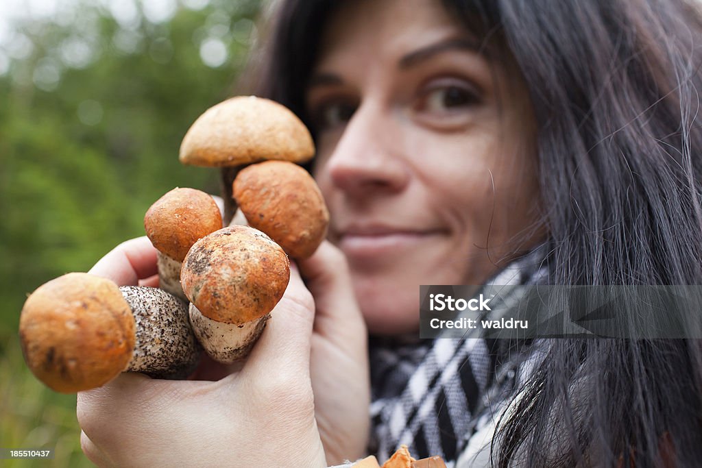 Грибы в руки - Стоковые фото Boletus роялти-фри