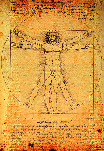 istock The very well known art piece representing human anatomy 185510582