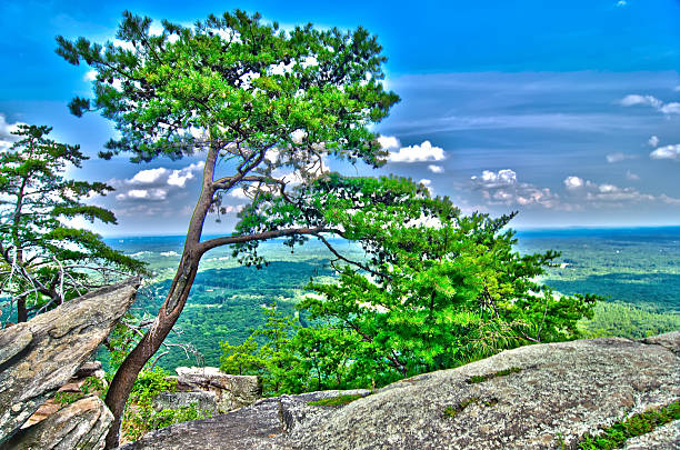 istock beautiful aerial landscape views from crowders mountain north ca 185510710