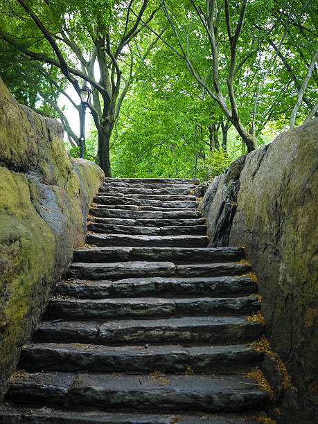 istock Stone stairway, Central Park, New York City 185511504