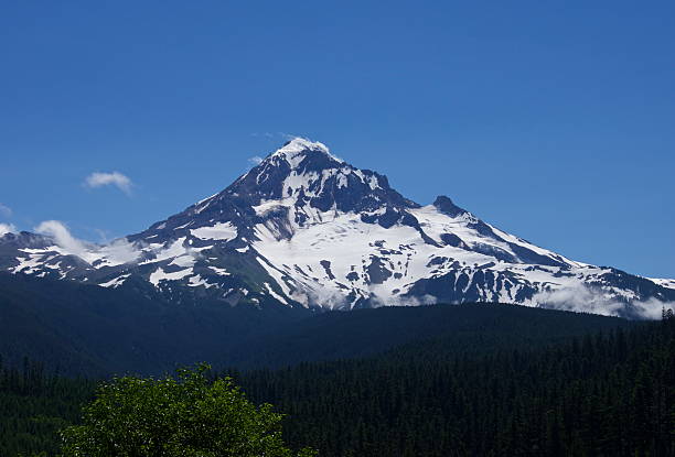 istock NW Mt. Hood Wilderness 185514284