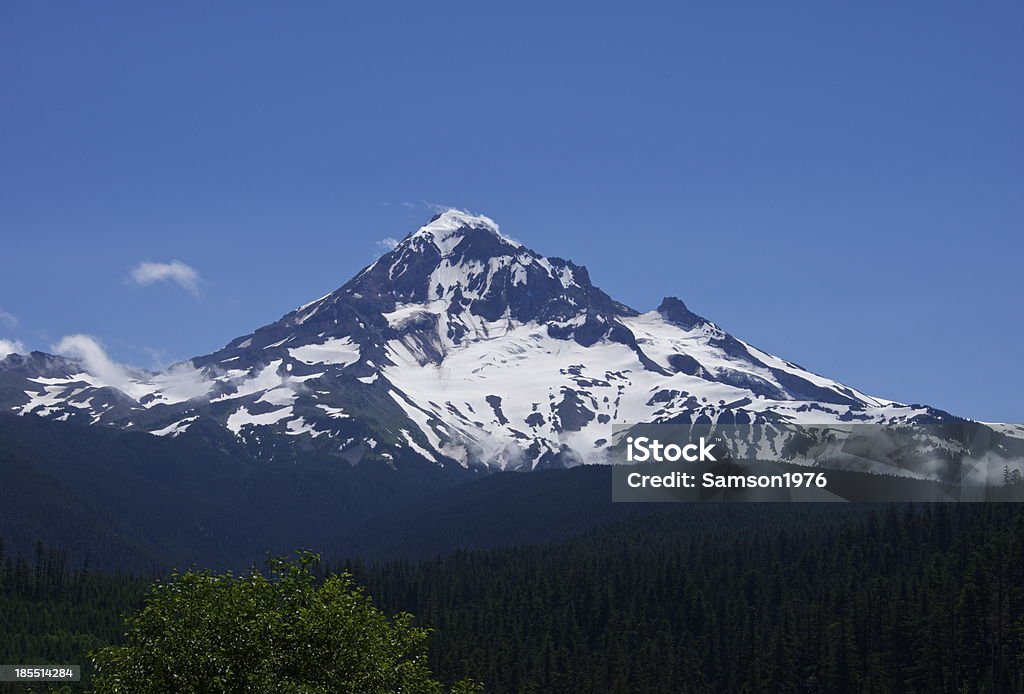 NW горы Маунт-Худ Wilderness - Стоковые фото Mt Hood National Forest роялти-фри