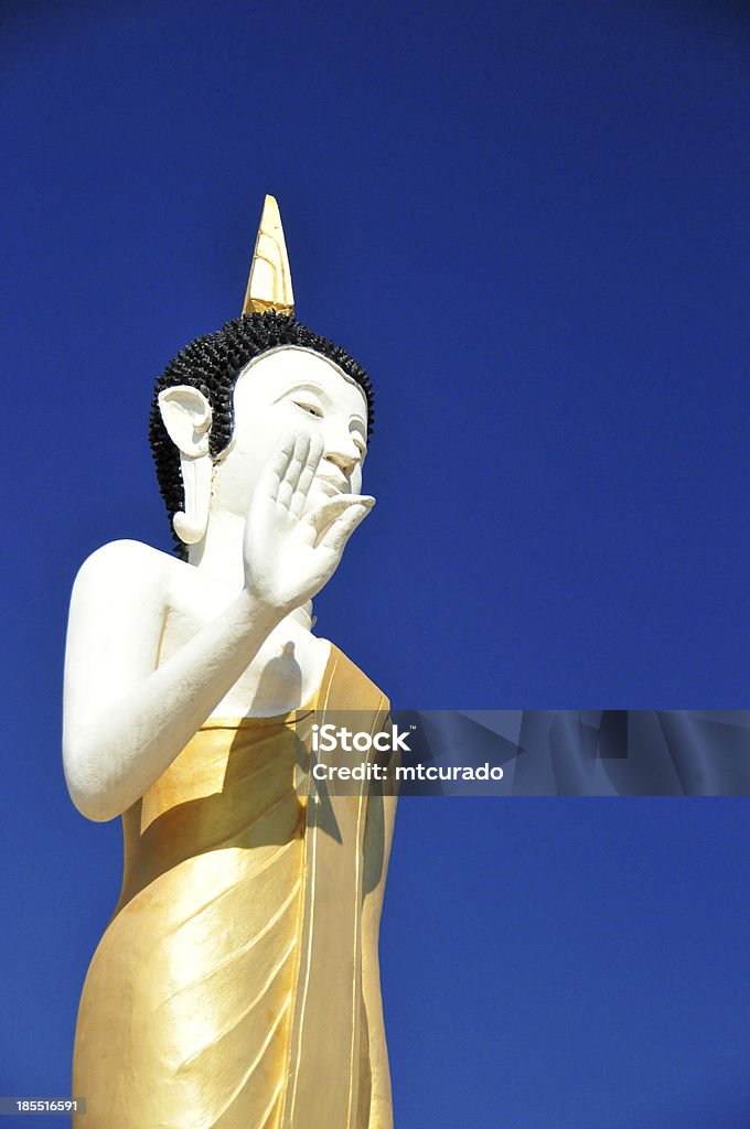 Vientiane, Laos: Buddha at That Luang Neua temple Vientiane, Laos: Buddha at Wat That Luang Neua, Vitarka Mudra, the circle formed by the thumb and index finger represents the Wheel of Law, temple on That Luang Park, Pha That Luang complex, Ban Thatluang - photo by M.Torres Ancient Stock Photo