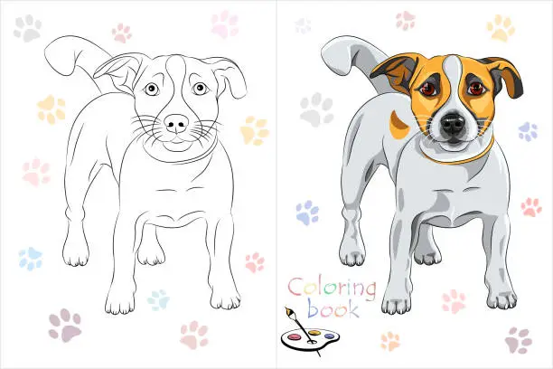 Vector illustration of Coloring Book page dog Jack Russell Terrier