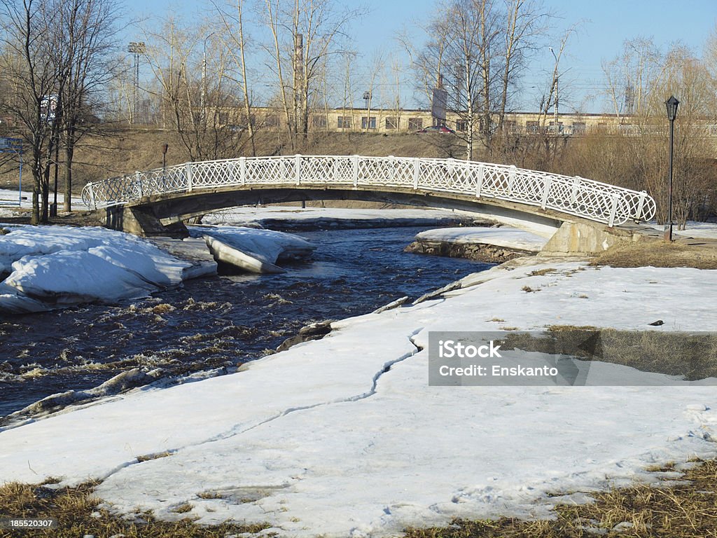 Le bridge - Photo de Arbre libre de droits