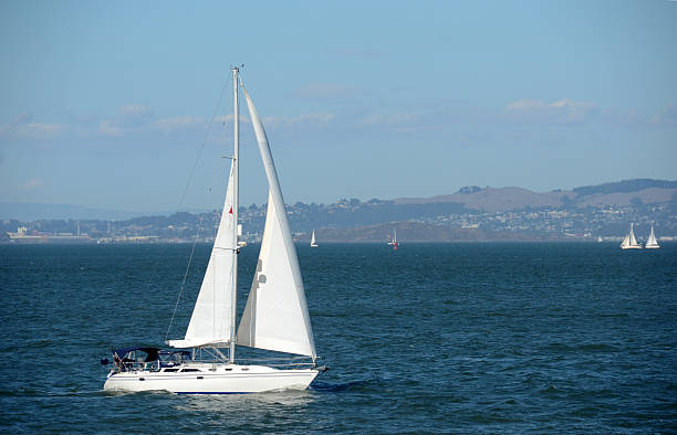 istock Sailing in the San Francisco Bay 185520638