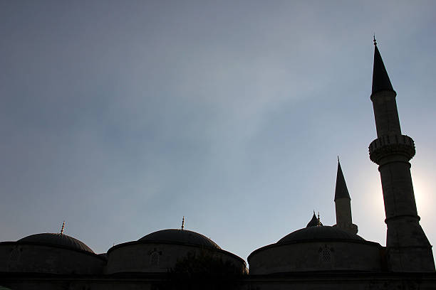 alte moschee, meetingraum "edirne" - sultan selim ii stock-fotos und bilder