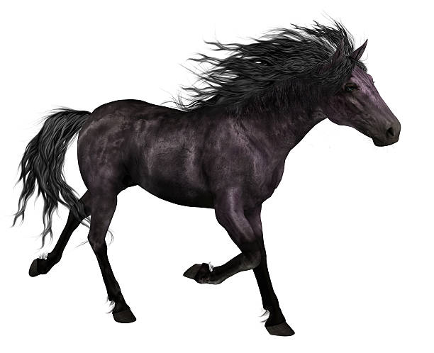 istock Black Horse Trotting White Background 185520963
