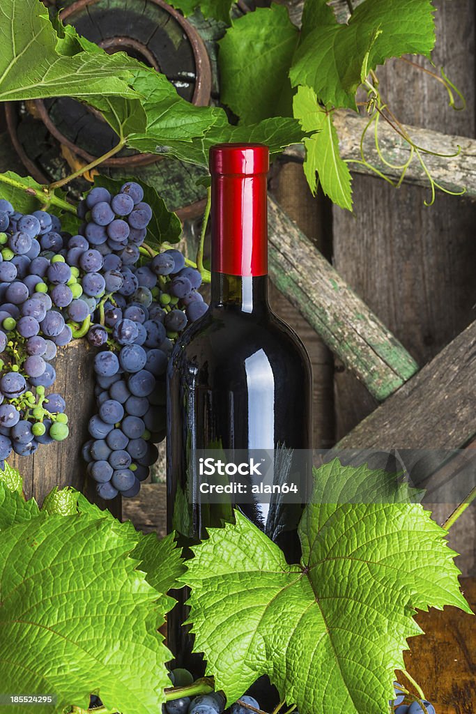 Bottiglia di vino rosso - Foto stock royalty-free di Alimentazione sana