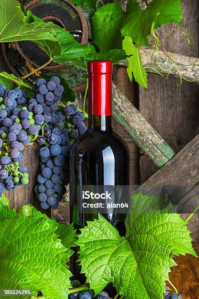 Bottiglia Di Vino Rosso - Fotografie stock e altre immagini di Alimentazione sana - Alimentazione sana, Autunno, Azienda vinicola