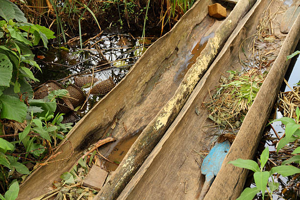 istock Crayfishing Setup with two Dugout Canoes 185524297
