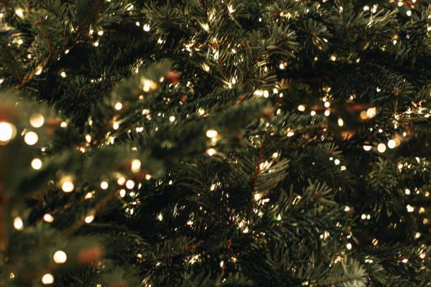 istock New Year and Christmas magic abstract background. Golden lights and green pine branches. 1855248637