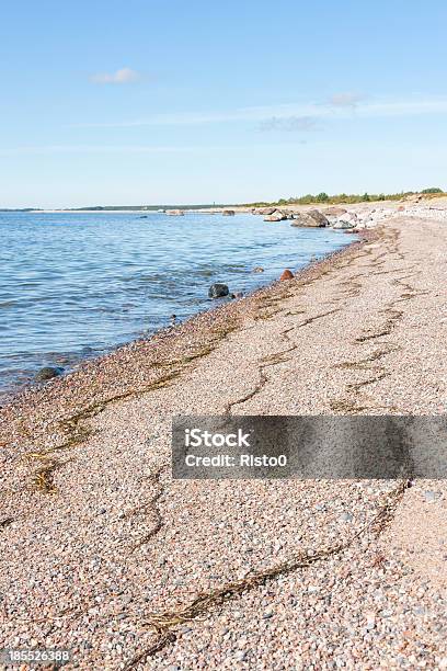 Stony Coast W Słoneczny Dzień - zdjęcia stockowe i więcej obrazów Bez ludzi - Bez ludzi, Fotografika, Glony