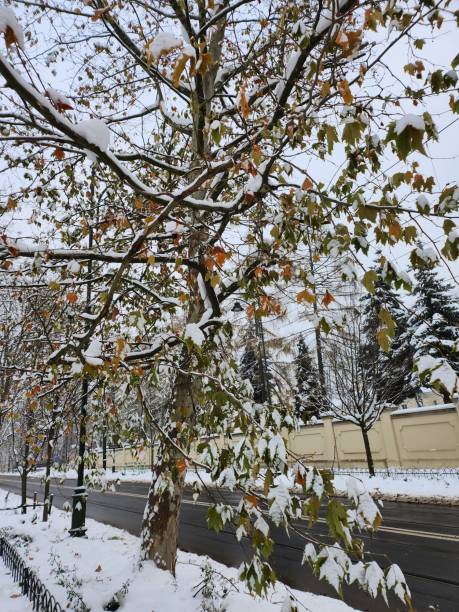 istock Streets of Krakow in winter. 1855277909