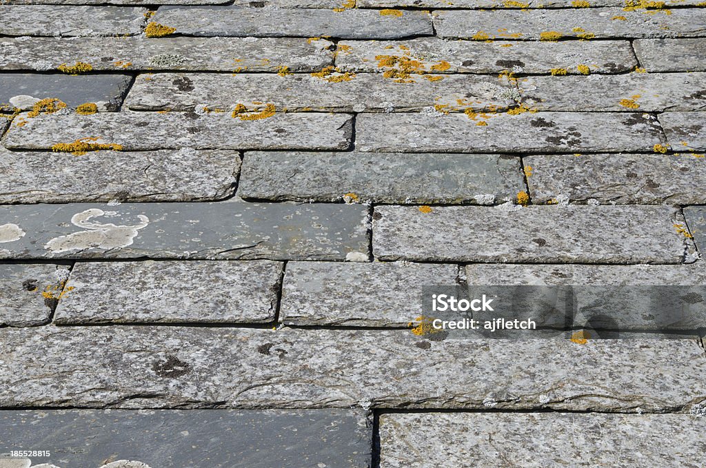 코니시 슬레이트 타일 지붕 - 로열티 프리 거친 스톡 사진