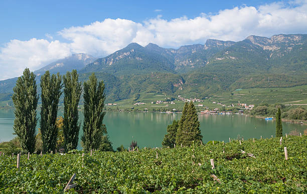 istock Lake Caldaro,South Tyrol,Italy 185528849