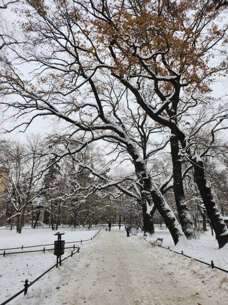 istock A view of Krakow in winter. 1855289135