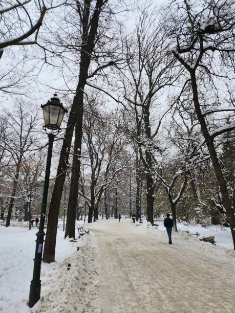 istock Panorama of Krakow in winter. 1855293044