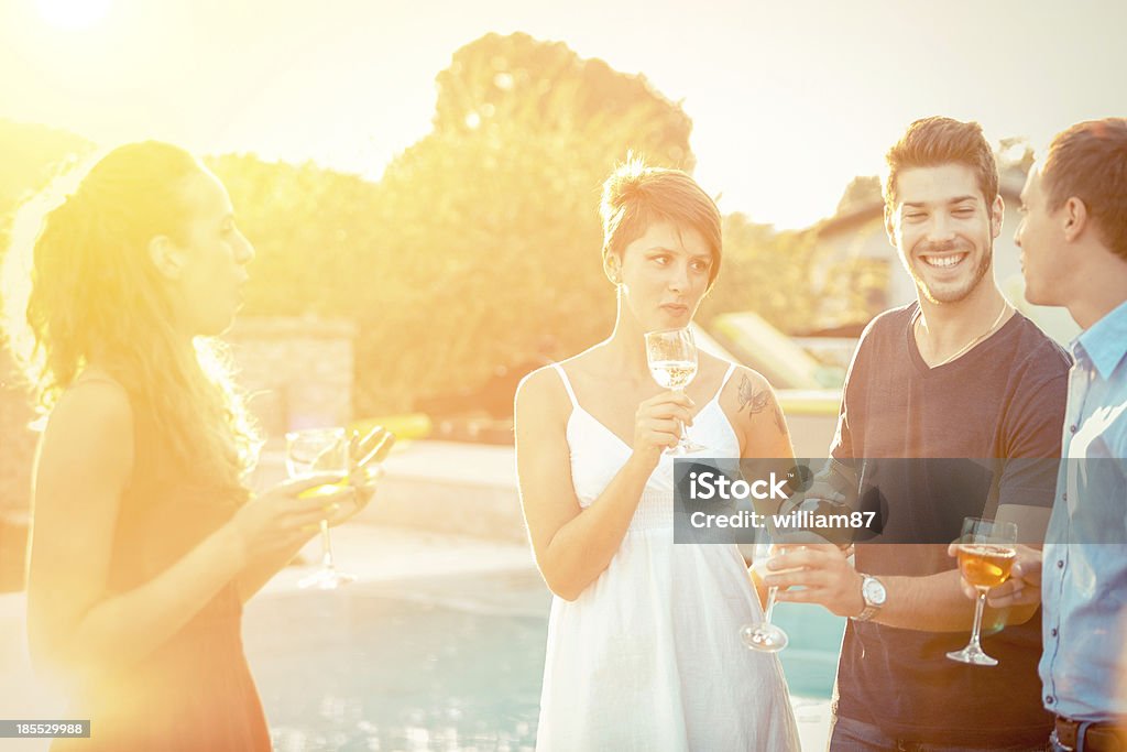 Group of Friends Toasting at Party Adult Stock Photo
