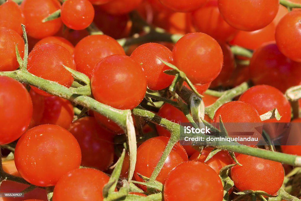 Dojrzałe pomidory winogronowe - Zbiór zdjęć royalty-free (Bez ludzi)