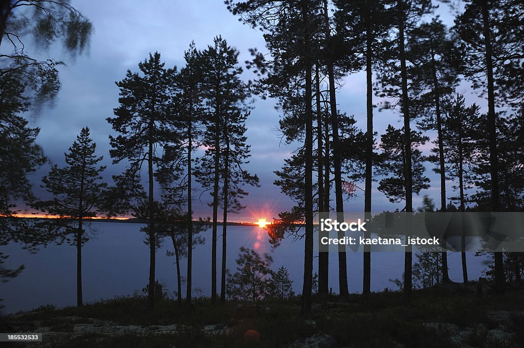 Belo pôr do sol na floresta de pinheiros, Carélia, Engozero lake, Norte da Rússia - Foto de stock de Aventura royalty-free