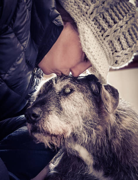 Kissing this old dog (shepard mix) on the head... he is very old.