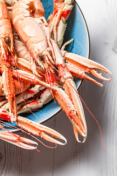 istock Closeup of cooked scampi pincers 185538720