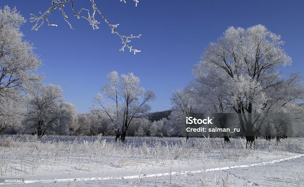 Paisagem de Inverno - Royalty-free Ao Ar Livre Foto de stock