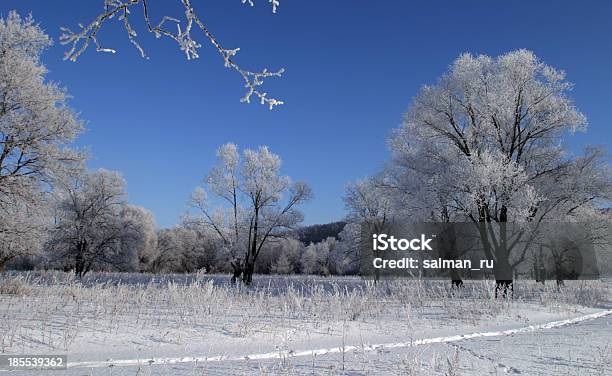 Paisagem De Inverno - Fotografias de stock e mais imagens de Ao Ar Livre - Ao Ar Livre, Azul, Cena Não Urbana