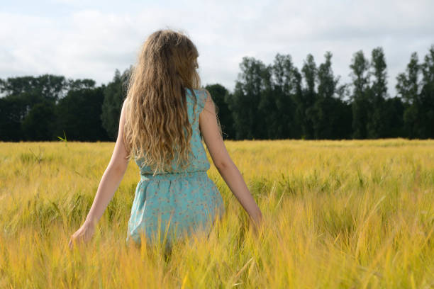 istock Summer girl in a barley field 185539863