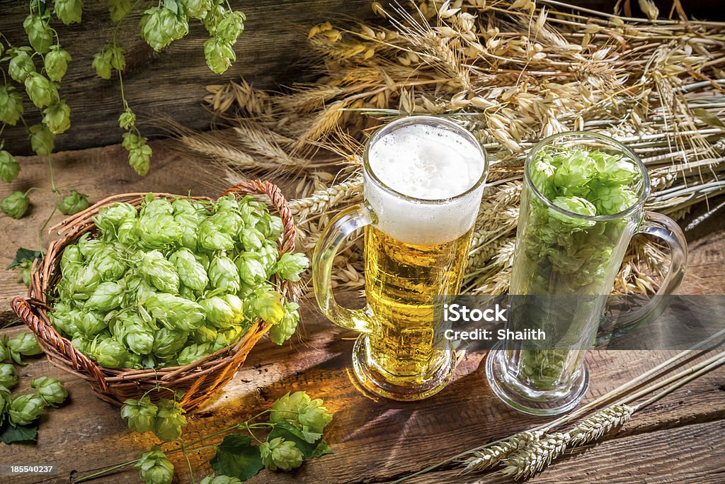 Ingrédients pour la bière dorée avec une mousse - Photo de Alcool libre de droits