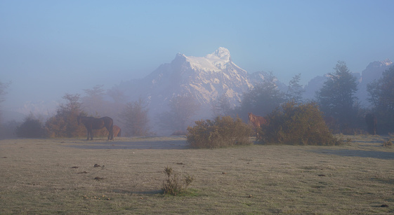 Mountain landscape and beautiful view in Georgia