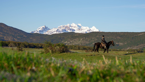 Foggy morning in the pastures of Torres del Paine National Park, Chile