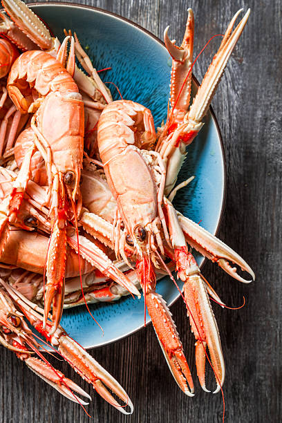 istock Freshly cooked scampi in a blue bowl 185541722