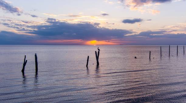 istock Old pillars in Mobile Bay at sunset 1855418288