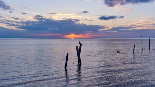 istock Old pillars in Mobile Bay at sunset 1855418816
